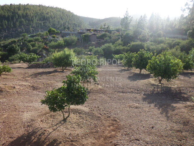 Terreno rústico en Cruz de Tea, Granadilla