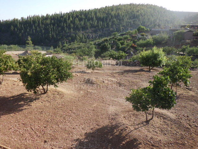 Terreno rústico en Cruz de Tea, Granadilla